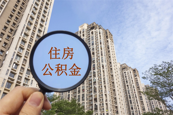 新疆14年公积金多少钱（新疆14年公积金利率是多少）